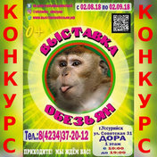Выиграй билет на выставку обезьян!