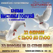 Краевая выставка голубей