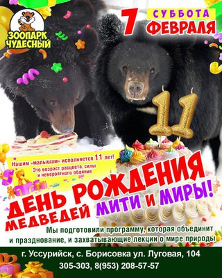 День рождения медведей Мити и Миры