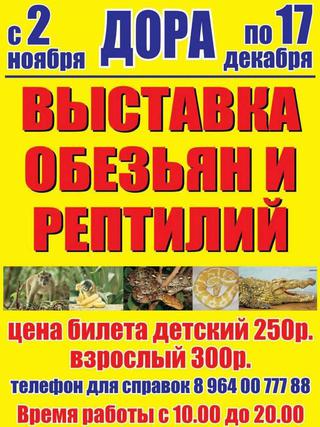Выставка обезьян и рептилий