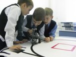 Приморских школьников будут учить робототехнике