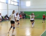 Любительские команды по волейболу разыграли Кубок председателя Думы