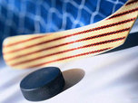 Международный турнир по хоккею с шайбой завершился в Уссурийске