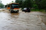 Проливные дожди оставили Уссурийск без урожая и дорог