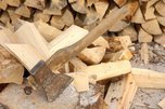 Впервые за последние три года в УГО населению выделен участок для заготовки дров
