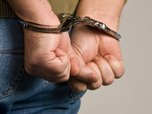Уссурийские полицейские задержали группу лиц, подозреваемых в грабеже