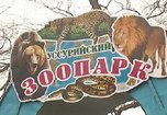Общественные слушания по поводу строительства нового зоопарка пройдут в Уссурийске 25 сентября