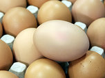 В Уссурийске неоднократно судимого бомжа соблазнили яйца