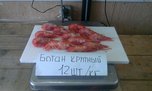 Жителям Уссурийска продавали морепродукты с бактериями и токсичными металлами