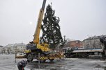 Новогоднюю ель установили на центральной площади Уссурийска