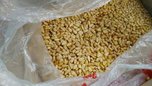 Уссурийская таможня предотвратила незаконный вывоз в Китай 46 кг гриба чаги и полтонны кедровых орехов
