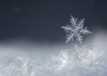 В начале следующей неделе синоптики обещают снегопад в Уссурийске