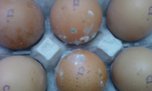 В Приморье прибыли 336 тысяч яиц с плесенью