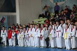 Открытый чемпионат и первенство по тхэквондо ВТФ состоялись в Уссурийске