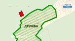 Уссурийский садовод обманул муниципалитет и вырубил деревья на 500 тысяч рублей