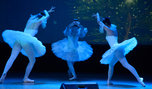 Музыкальное представление «Новогодний серпантин» прошло в Уссурийске