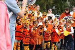 День тигра отметят в Уссурийске 29 сентября
