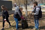 Студенты-добровольцы провели субботники на мемориальных комплексах Уссурийска