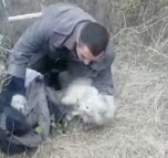 В Приморье сотрудники полиции вызволили из глубокой ямы редких животных