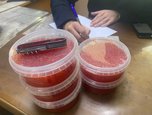 В Уссурийске сотрудники полиции провели проверку по факту реализации поддельной красной икры