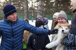 В добрые руки: губернатор подарил щенков акита-ину приморским семьям