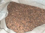 Уссурийскими транспортными полицейскими окончено расследование уголовного дела о контрабанде 20 тонн кедрового ореха