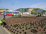 В Уссурийске завершено художественно-ландшафтное оформление транспортной развязки на 5-м километре