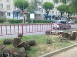 В Уссурийске приводят в порядок зеленые насаждения