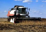 В Уссурийском городском округе стартовала уборочная кампания сои