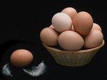 Приморцы закупают свежие куриные яйца к Пасхе