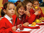 Приморские депутаты проверят, как кормят младшеклассников в школах края
