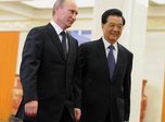 Путин обсудит с лидером КНР создание заповедника дальневосточного леопарда