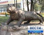 Тигр поселился в центре Уссурийска