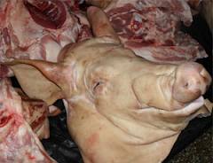 Предпринимателя, перевозившего свинину неподтвержденного качества, задержали в Уссурийске