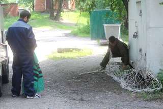 Рейды по отлову бездомных животных регулярно проводятся на территории УГО