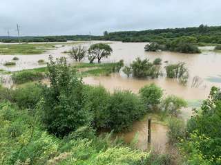 В реках Уссурийска вода пошла на спад