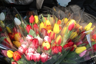 Ярмарка цветов открылась в Уссурийске