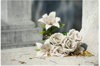 7 видов цветов и их значение на похоронах