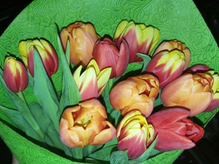 В Уссурийске завершено расследование уголовного дела о мошенничестве с продажей тюльпанов на 2,5 млн руб