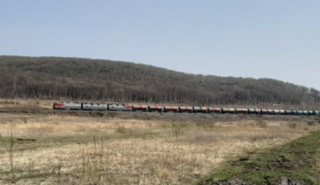 Первоклассники пытались коснуться движущегося поезда в Уссурийске