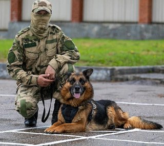 Служебная собака Росгвардии из Уссурийска стала номинантом на международную премию «Мой ласковый и нужный зверь»