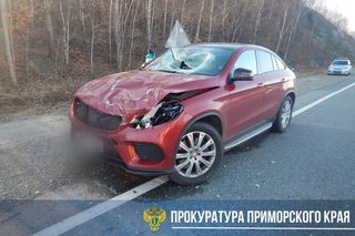 Прокуратура добилась наказания виновнику ДТП, в котором погибла девочка из Уссурийска