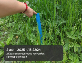В Уссурийске продолжаются работы по покосу травы