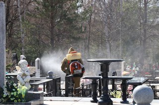 В Уссурийске проводится противоклещевая обработка кладбищ