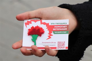 &laquo;Красная гвоздика&raquo; как символ памяти: в Уссурийске проходит Всероссийская акция