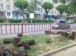 В Уссурийске приводят в порядок зеленые насаждения