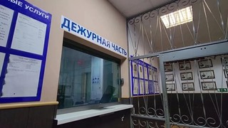 Полиция Уссурийска проводит проверку по факту инцидента с домашним животным