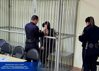 В Уссурийске мужчину заключили под стражу за попытку ограбления гражданина Беларуси