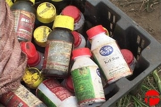 Свыше 220 кг опасных пестицидов обнаружили в Уссурийске